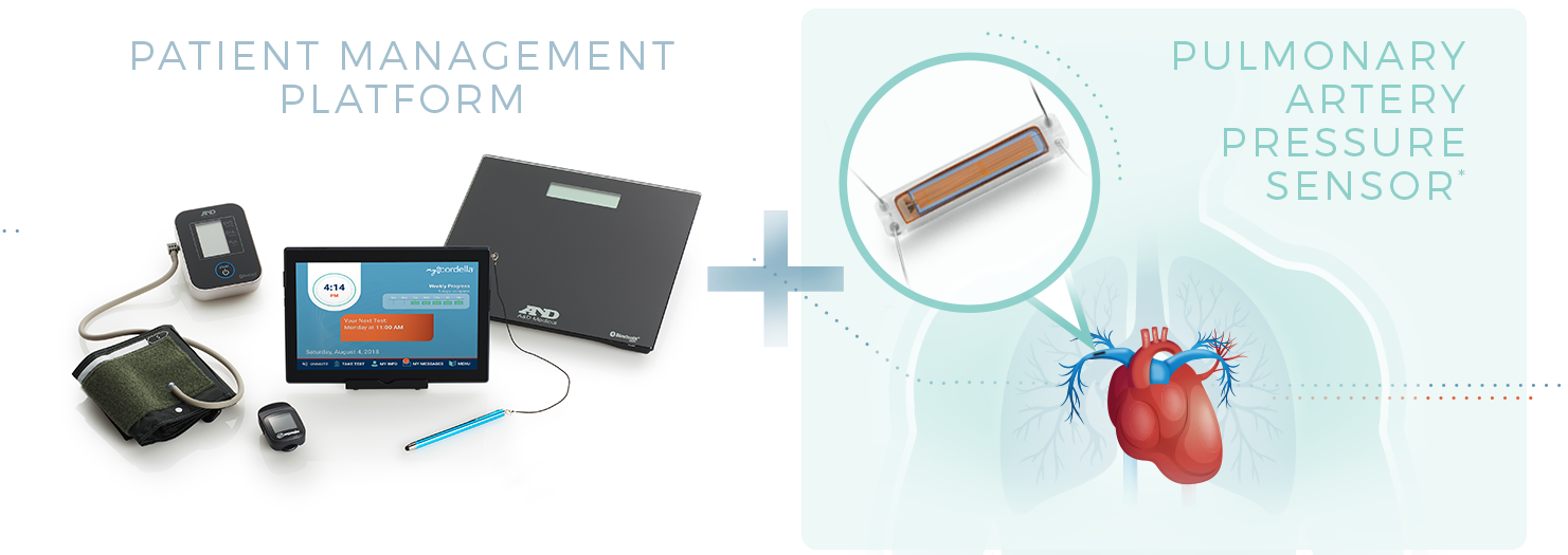 Cordella System for Hemodynamic Monitoring - Endotronix Endotronix